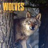 Wolves Calendar 2027