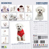 Bichon Frise Modern Wall Calendar 2027