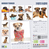 Border Terrier Modern Wall Calendar 2027