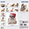 Bulldog Modern Wall Calendar 2027