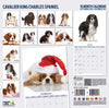 Cavalier King Charles Modern Wall Calendar 2027