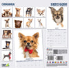 Chihuahua Modern Wall Calendar 2027