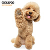 Cockapoo Modern Wall Calendar 2027