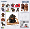 Dachshund Modern Wall Calendar 2027