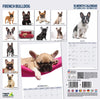 French Bulldog Modern Wall Calendar 2027
