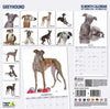 Greyhound Modern Wall Calendar 2027