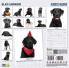 Black Labrador Modern Wall Calendar 2027