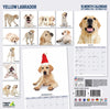 Yellow Labrador Modern Wall Calendar 2027