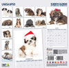 Lhasa Apso Modern Wall Calendar 2027