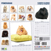 Pomeranian Modern Wall Calendar 2027