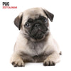 Pug Modern Wall Calendar 2027