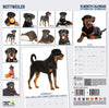 Rottweiler Modern Wall Calendar 2027