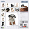 Shih Tzu Modern Wall Calendar 2027