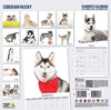 Siberian Husky Modern Wall Calendar 2027