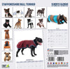 Staffordshire Bull Terrier Modern Wall Calendar 2027