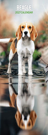 Beagle Slim Wall Calendar 2027