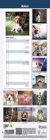 Beagle Slim Wall Calendar 2027