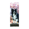 Border Collie Slim Wall Calendar 2027