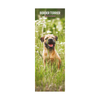 Border Terrier Slim Wall Calendar 2027