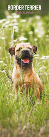 Border Terrier Slim Wall Calendar 2027