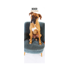 Boxer Slim Wall Calendar 2027