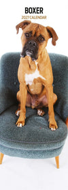 Boxer Slim Wall Calendar 2027