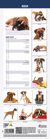 Boxer Slim Wall Calendar 2027