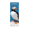 British Wildlife Slim Wall Calendar 2027