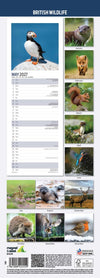 British Wildlife Slim Wall Calendar 2027