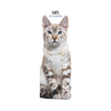Cats Slim Wall Calendar 2027