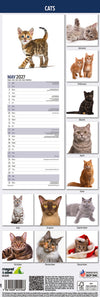 Cats Slim Wall Calendar 2027