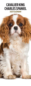 Cavalier King Charles Slim Wall Calendar 2027