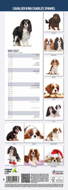 Cavalier King Charles Slim Wall Calendar 2027