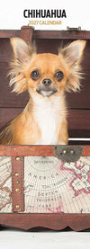 Chihuahua Slim Wall Calendar 2027