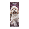 Cockapoo Slim Wall Calendar 2027