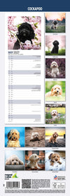 Cockapoo Slim Wall Calendar 2027