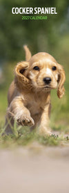 Cocker Spaniel Slim Wall Calendar 2027
