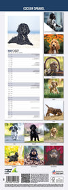 Cocker Spaniel Slim Wall Calendar 2027