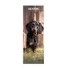 Dachshund Slim Wall Calendar 2027