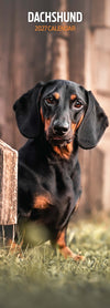Dachshund Slim Wall Calendar 2027