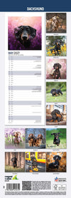 Dachshund Slim Wall Calendar 2027