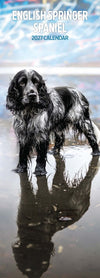 English Springer Spaniel Slim Wall Calendar 2027