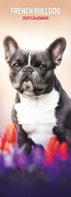French Bulldog Slim Wall Calendar 2027