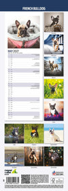French Bulldog Slim Wall Calendar 2027