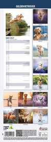 German Shepherd Traditional Wall Calendar 2027