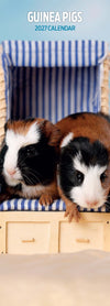 Guinea Pig Slim Wall Calendar 2027