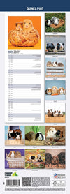 Guinea Pig Slim Wall Calendar 2027
