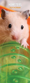 Hamsters Slim Wall Calendar 2027