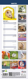 Hamsters Slim Wall Calendar 2027