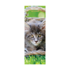 Kittens Slim Wall Calendar 2027
